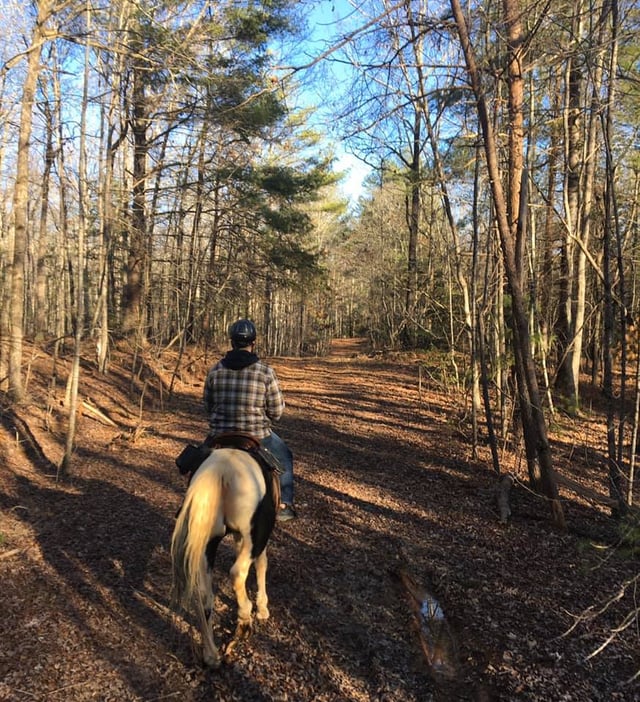Chattooga Trails Bed & Barn5