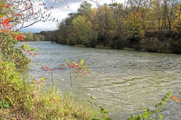 Cedar River Natural Area 5