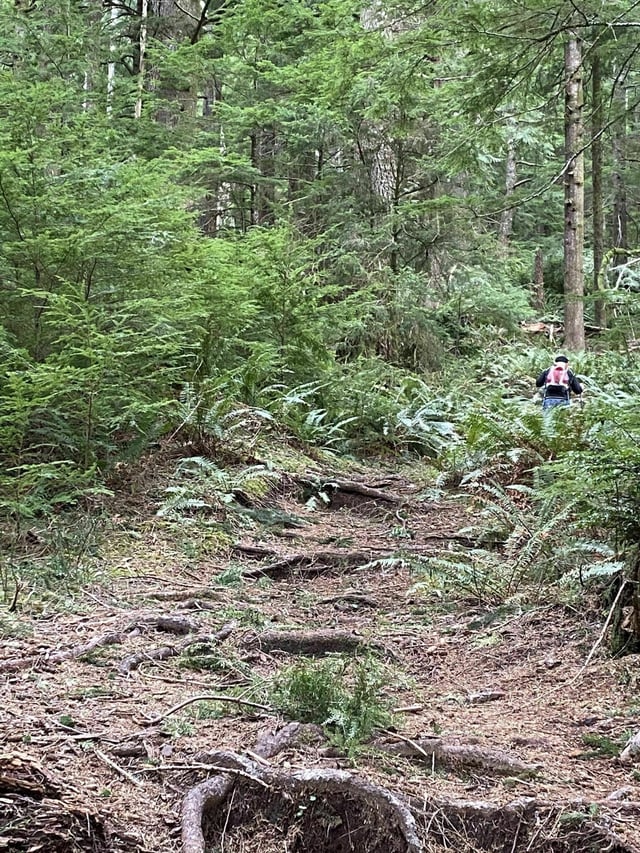 Cummins Creek Trail10