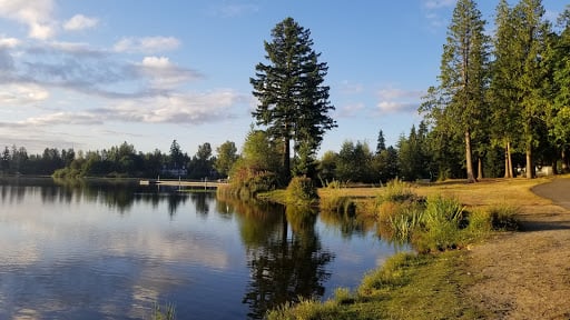 Silver Lake Excalibur Disc Golf 5