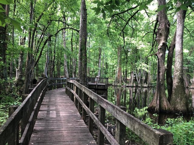 deerlick creek park 2