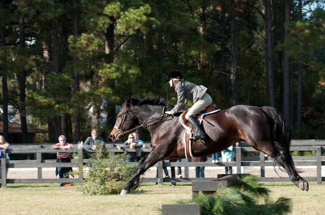 Old Tabby Links on Spring Island