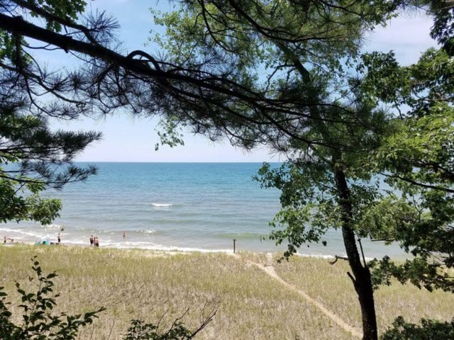 olive shores 6