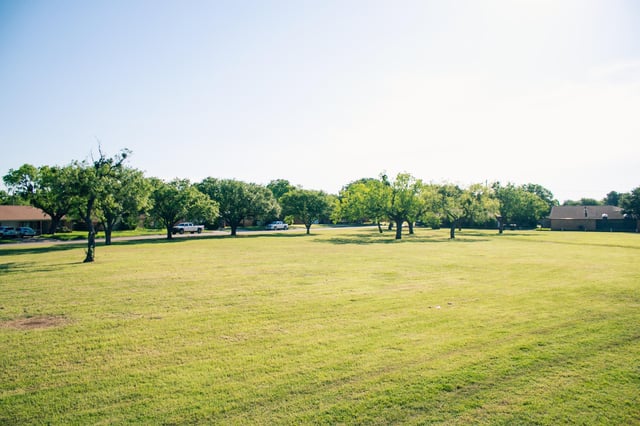 Jackson Park