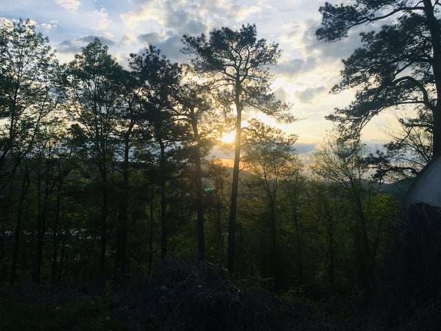 Eagle Walk at Mill Creek 1