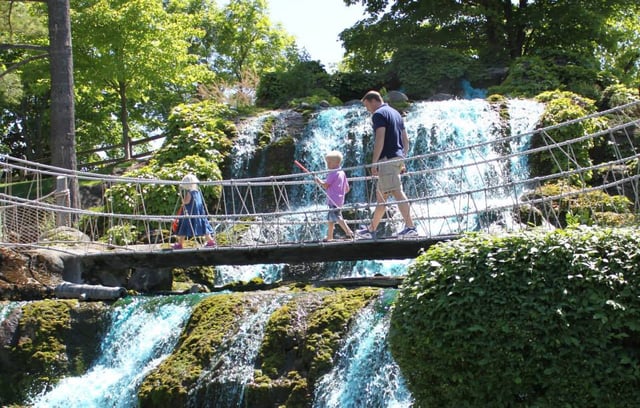 Pirate's Cove Adventure Park 1