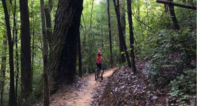 Stumphouse Mountain Bike Park 3