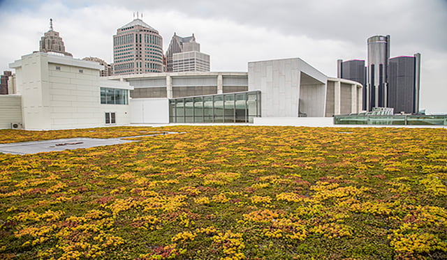 green roof full panel.jpg