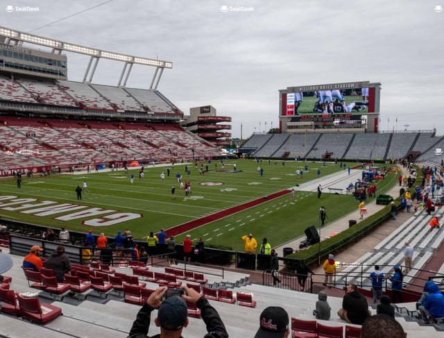 William brice stadium field