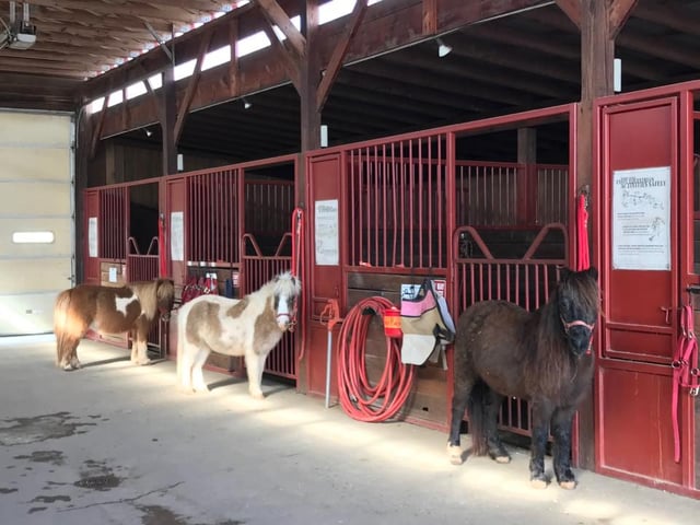 Valley Water Mill Equestrian Center2
