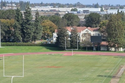 zinda field