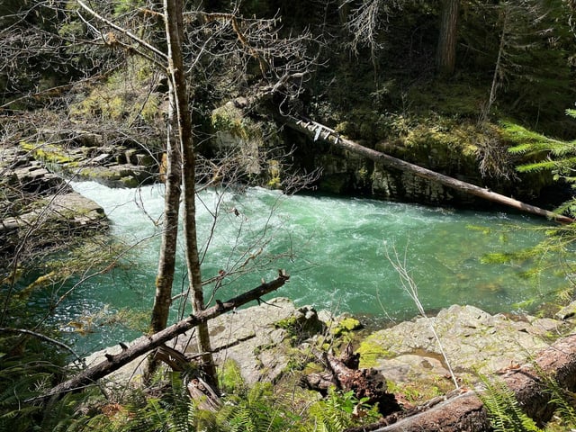 Umpqua National Forest11