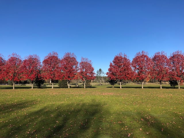 Goddard Memorial State Park