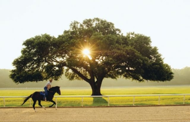Aiken Training Track6