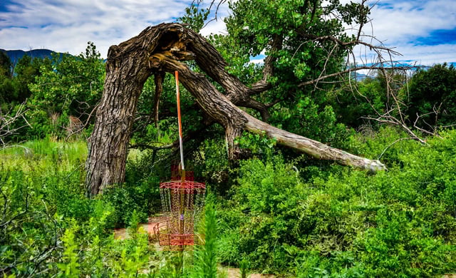 The Aviary Disc Golf Course6