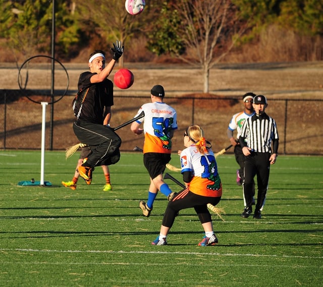 Quidditch cropped