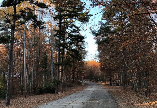 Shady Grove Campground4