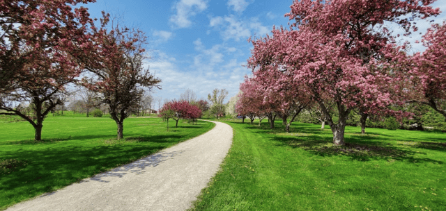 morgan creek park 5