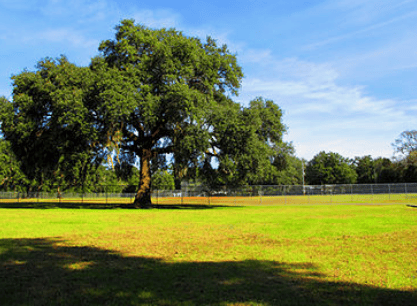 Bagdad Recreation Facility 5