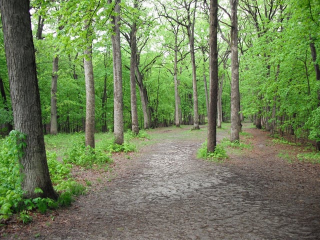 Shaver Park 2