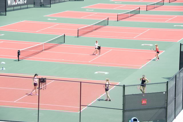 Davidson 3
