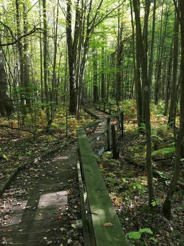 Fairview Nature Park6