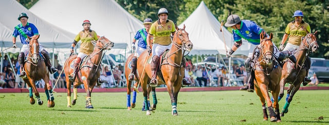 Polo 5