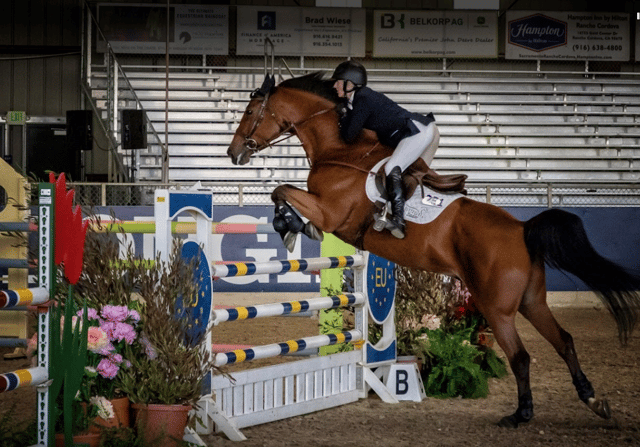 Murieta Equestrian Center 4
