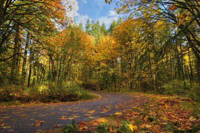 little-mountain-park-autumn-foliage-2.jpg