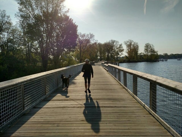 Black Lake Boardwalk