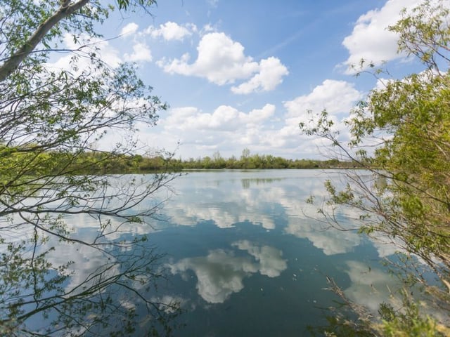 Hawthorn Pond Natural Area8