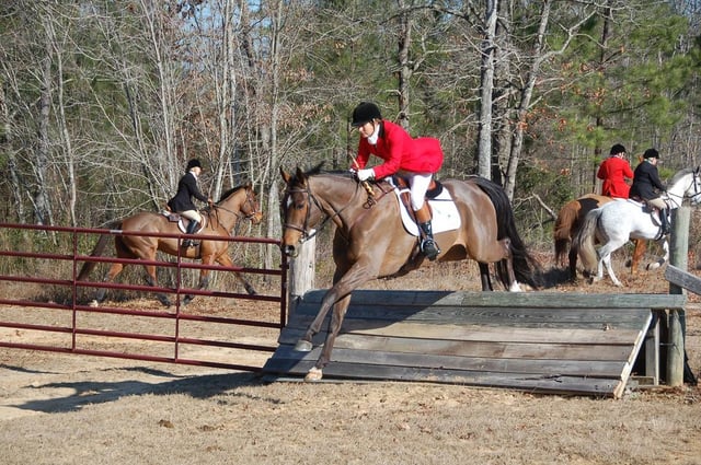 Whiskey Road Foxhounds 2