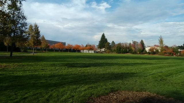 Orchard Park Disc Golf Course2