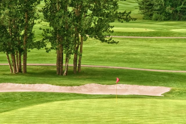 loyal oak golf course 4