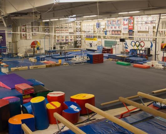 Parkettes National Gymnastics 3