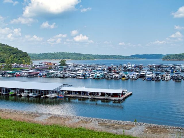 Wildcat Marina 3