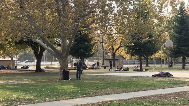 South City Park 2