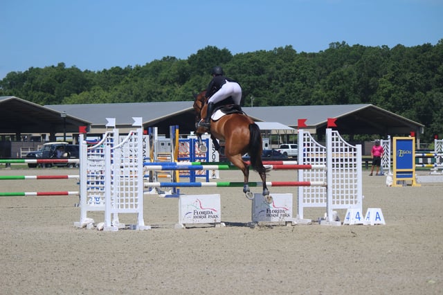 Florida Horse Park5