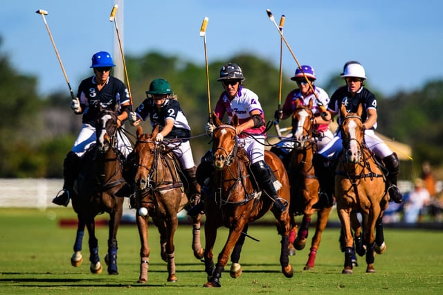 Sarasota Polo Club4