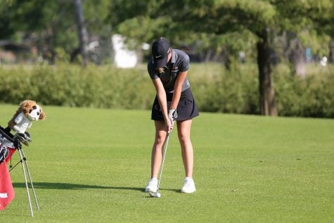 Tex Consolver Golf Course 6