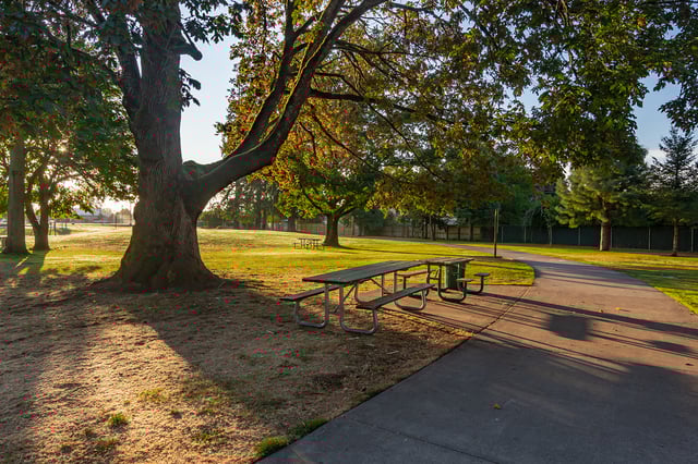 woodmansee park 4