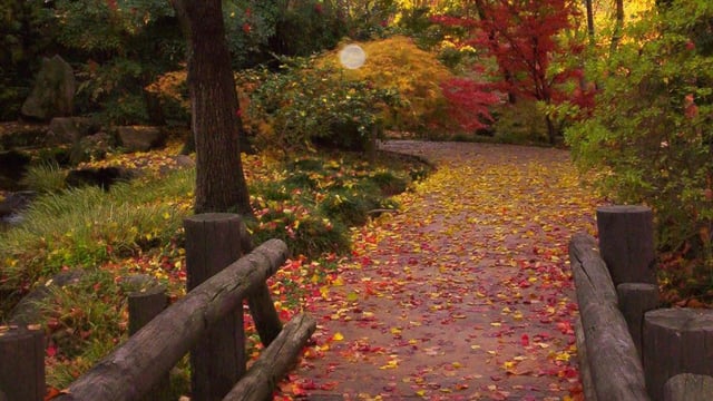 Woodward Park 6