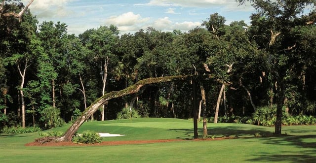 Leaning Tree Golf Course