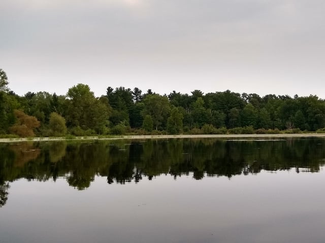 McDill Pond 7