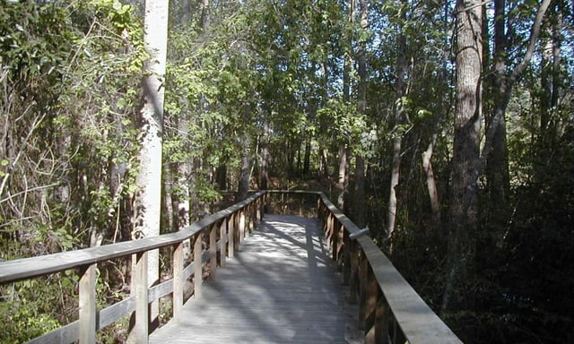 Lake Rim 2