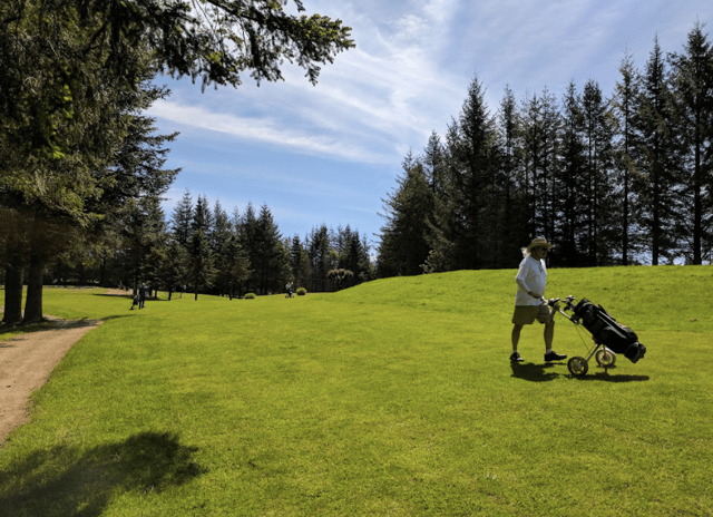 Screen Shot 2021-07-23 at 2.46.25 PM