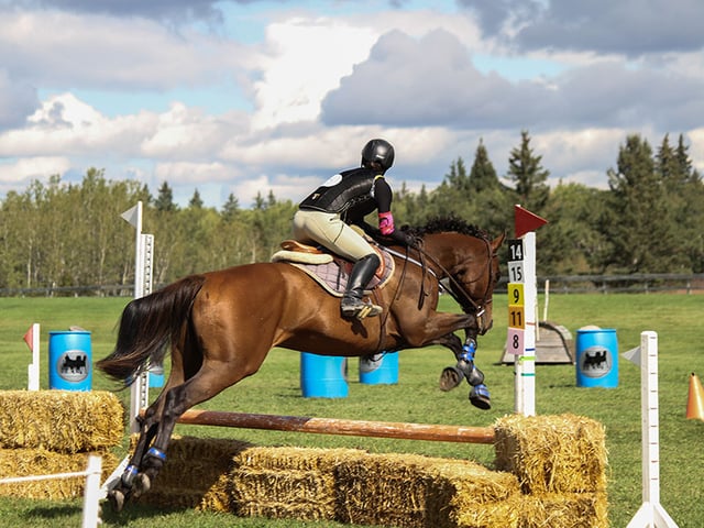 Manitoba Horse Council Equestrian Facility .jpg