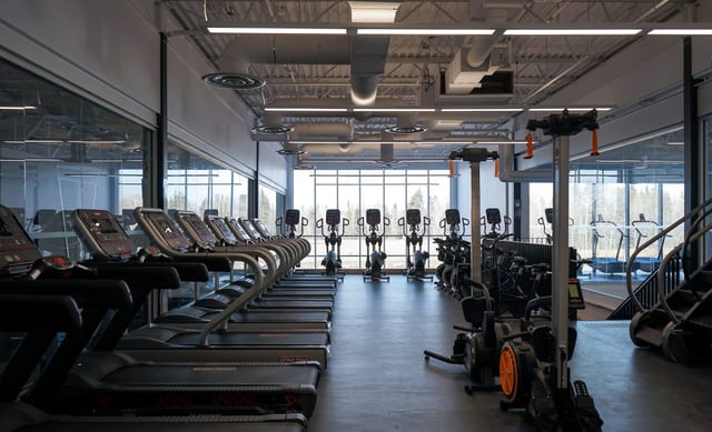 lakehead university thunder bay wolf den.jpg