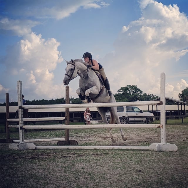 Alachua County Agriculture and Equestrian Center