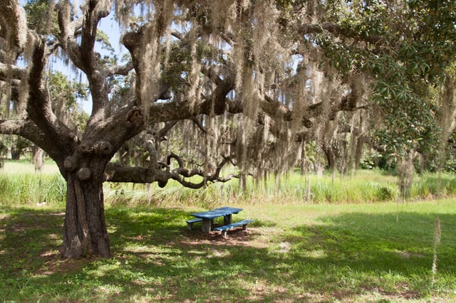 Gainesville - Hawthorne Trail State Park3